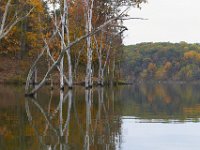 10-22-11-Little Seneca Lake-0621