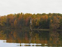10-22-11-Little Seneca Lake-0745