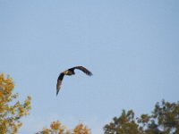 10-23-11-St Marys Lake-0919