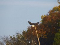 10-23-11-St Marys Lake-0922