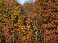 11-05-11-Rocky Gorge-1275