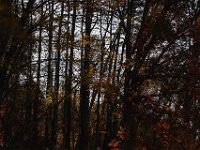 11-05-11-Rocky Gorge-1557