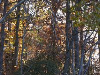 11-05-11-Rocky Gorge-1567