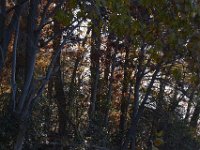 11-05-11-Rocky Gorge-1568