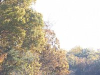11-05-11-Rocky Gorge-1574