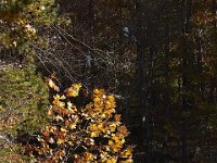 11-05-11-Rocky Gorge-1575