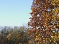 11-05-11-Rocky Gorge-1609
