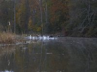 11-06-11-Mattawoman-1635