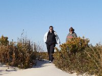 11-12-11-Assateague-2246