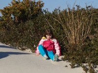 11-12-11-Assateague-2254