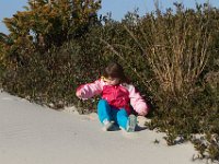 11-12-11-Assateague-2255