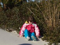 11-12-11-Assateague-2262