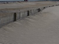 11-12-11-Assateague-2320