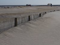 11-12-11-Assateague-2326