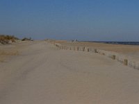 11-12-11-Assateague-2331