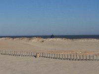 11-12-11-Assateague-2332