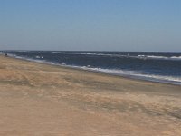 11-12-11-Assateague-2351