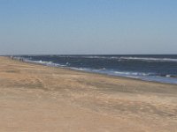 11-12-11-Assateague-2352
