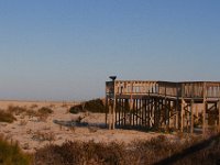 11-12-11-Assateague-2468