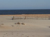 11-12-11-Assateague-2471