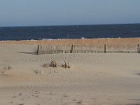 11-12-11-Assateague-2472