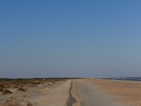 11-12-11-Assateague-2483