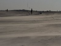 11-12-11-Assateague-2560