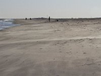 11-12-11-Assateague-2565