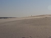 11-12-11-Assateague-2576