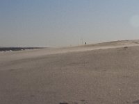 11-12-11-Assateague-2577