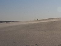11-12-11-Assateague-2578