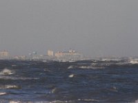 11-12-11-Assateague-2589