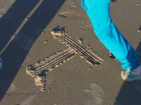11-12-11-Assateague-2598