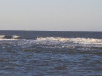 11-12-11-Assateague-2646