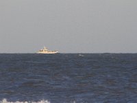 11-12-11-Assateague-2652