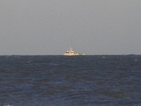 11-12-11-Assateague-2653