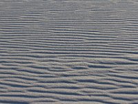 11-12-11-Assateague-2666