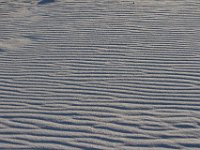 11-12-11-Assateague-2671