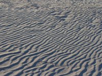11-12-11-Assateague-2679