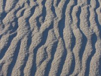 11-12-11-Assateague-2683
