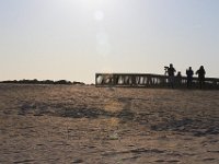11-12-11-Assateague-2690