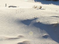 11-12-11-Assateague-2695