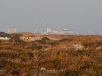 11-12-11-Assateague-2707