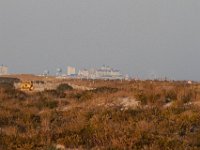 11-12-11-Assateague-2708