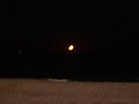 11-12-11-Assateague-2726