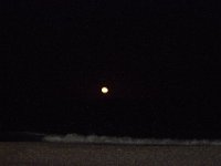 11-12-11-Assateague-2732