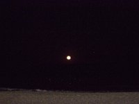 11-12-11-Assateague-2734