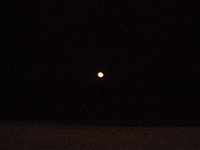 11-12-11-Assateague-2747