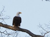 01-07-12-Mattawoman-3911