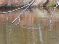 03-18-12-St Marys Lake-4168